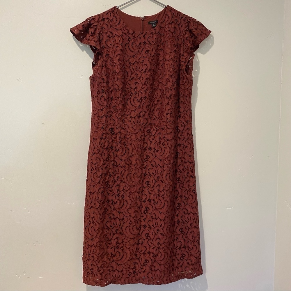 Ann Taylor burgundy lace womens ruffle sleeve dress midi 14